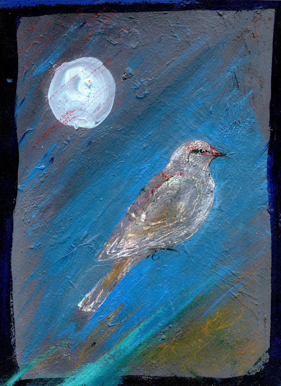 Uccello lunare, 2016 da Gigi Sudbury