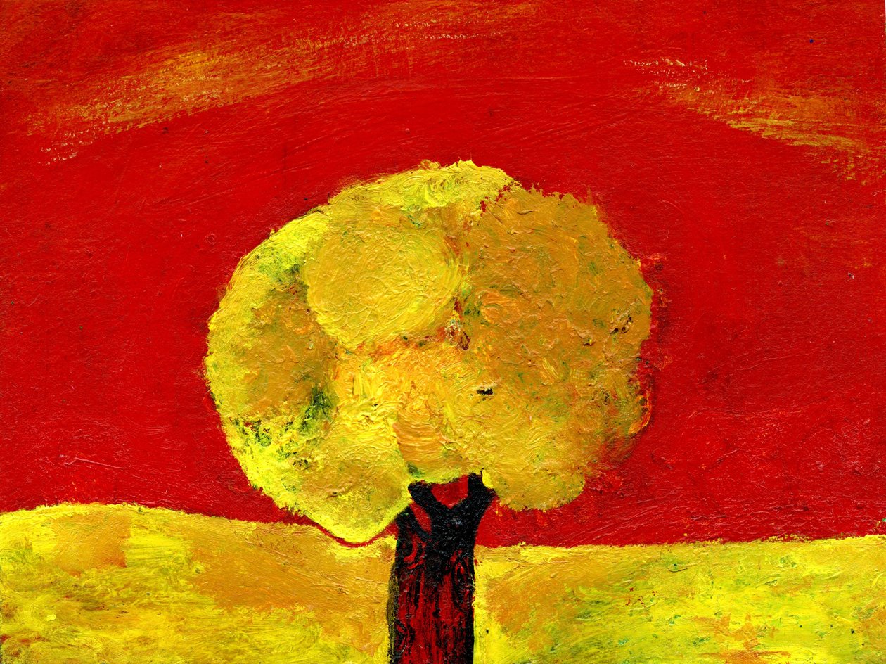 Albero giallo da Gigi Sudbury
