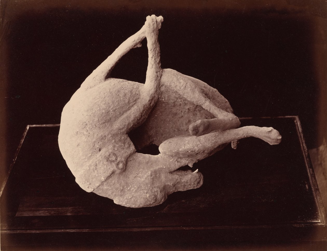 Calco, Pompei, c. 1870 (foto) da Giorgio Sommer