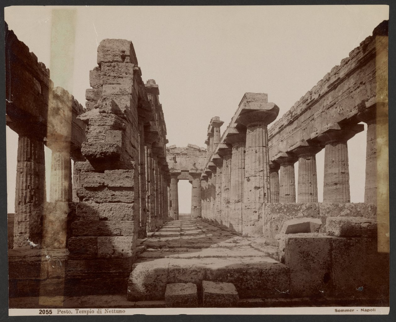 Tempio di Nettuno, Paestum da Giorgio Sommer
