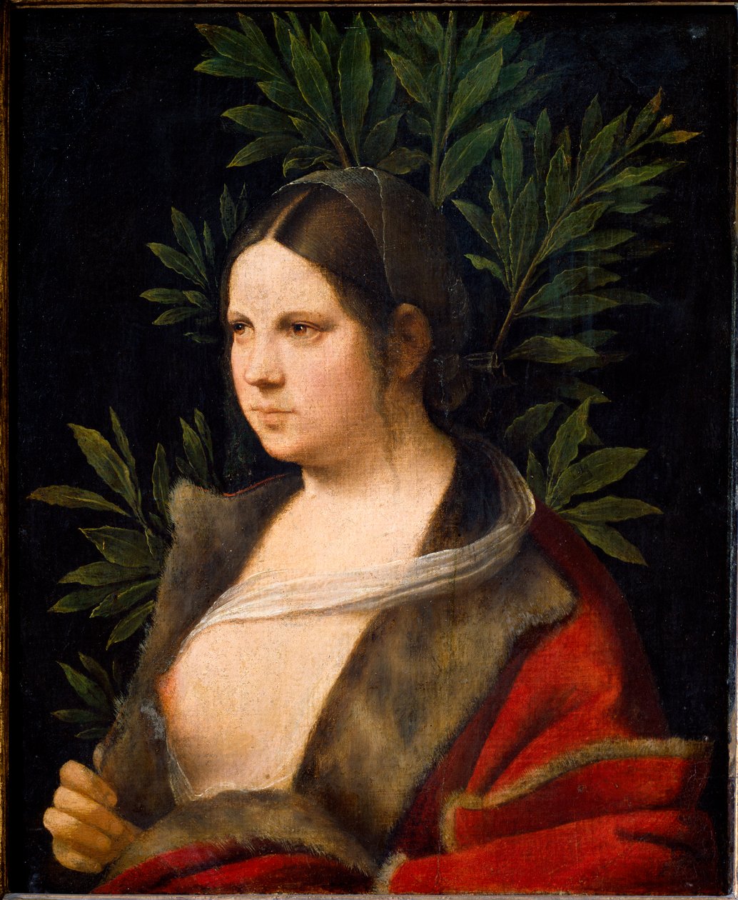 Ritratto di Laure da Giorgione