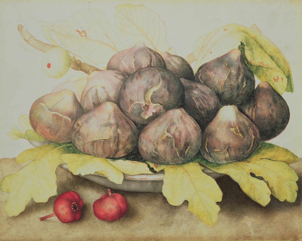 Fichi da Giovanna Garzoni
