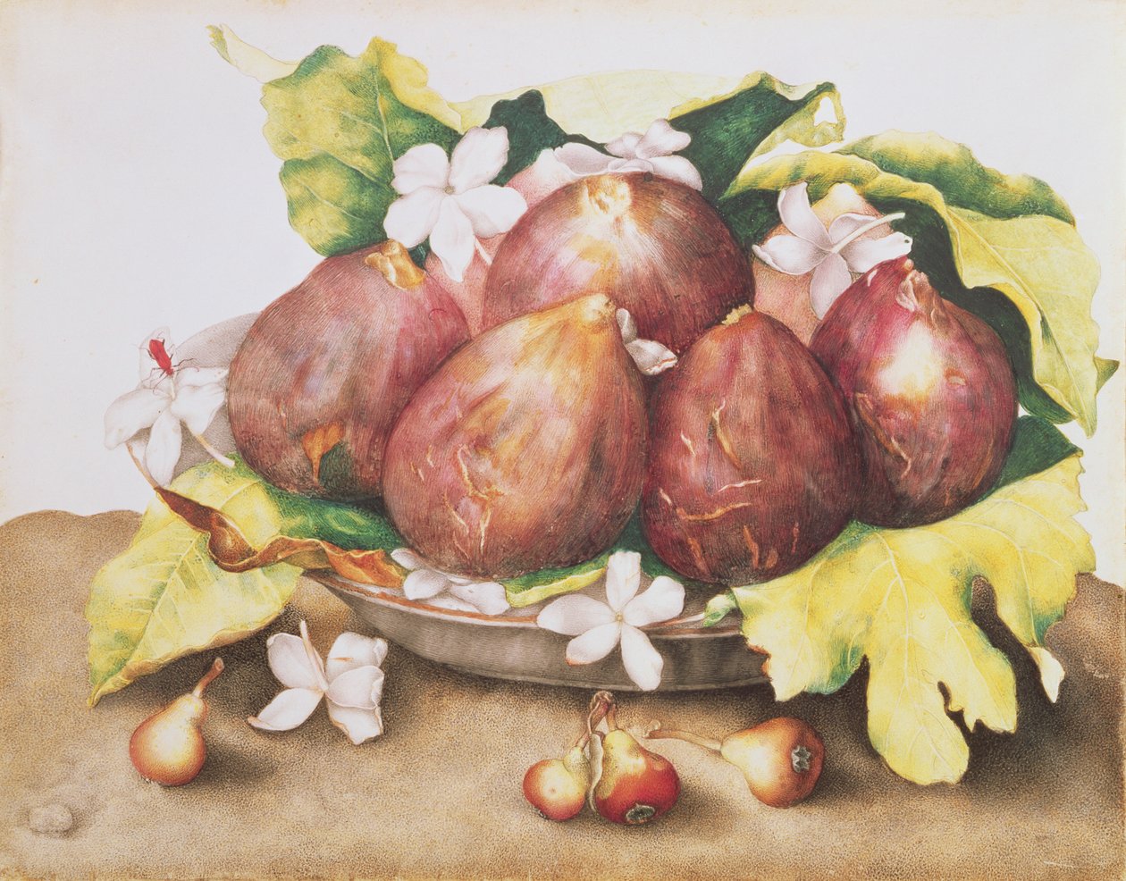 Fichi su foglie da Giovanna Garzoni