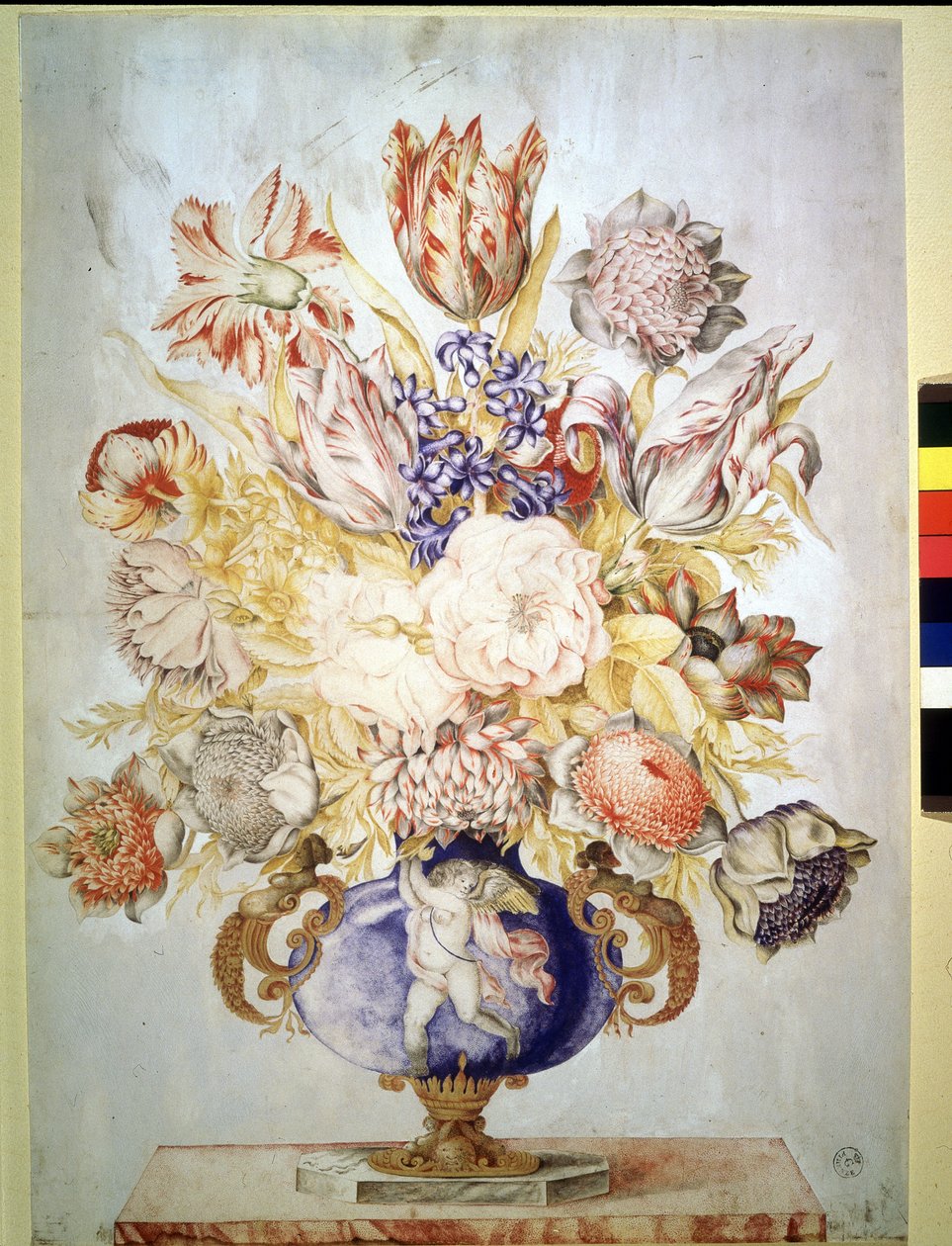 Immagine sconosciuta da Giovanna Garzoni
