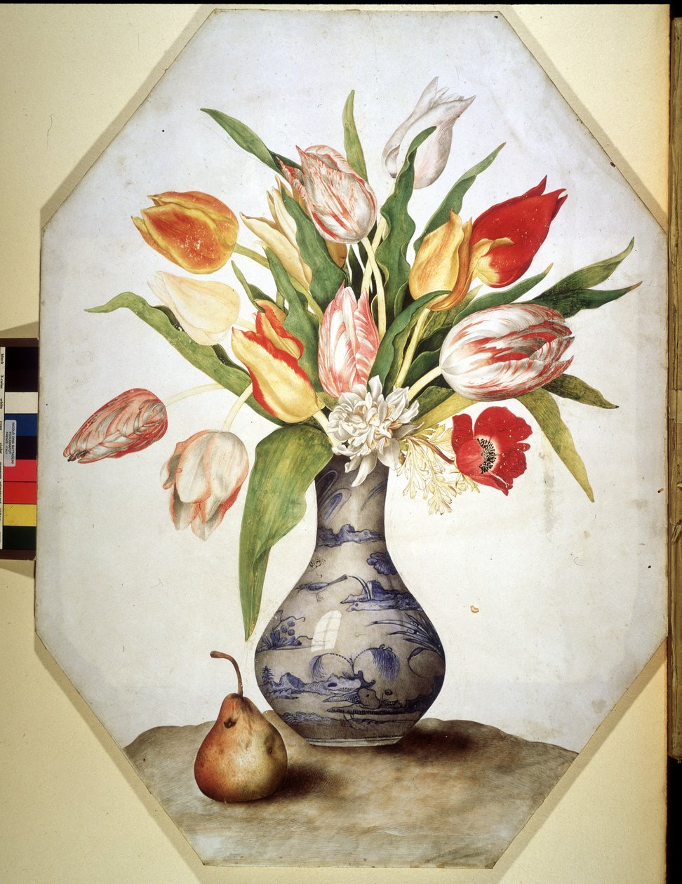 Immagine sconosciuta da Giovanna Garzoni
