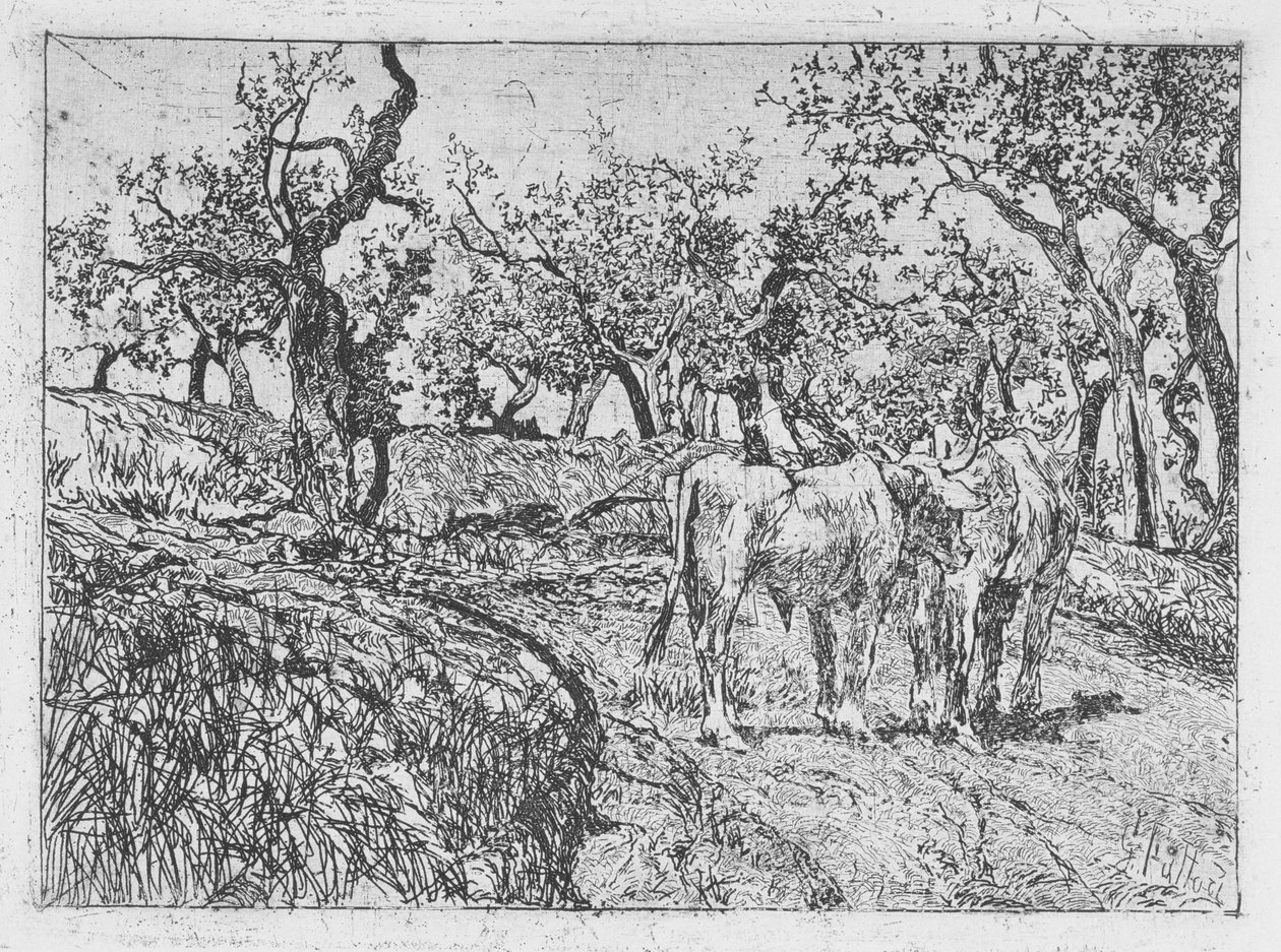 Bovini tra gli Ulivi da Giovanni Fattori