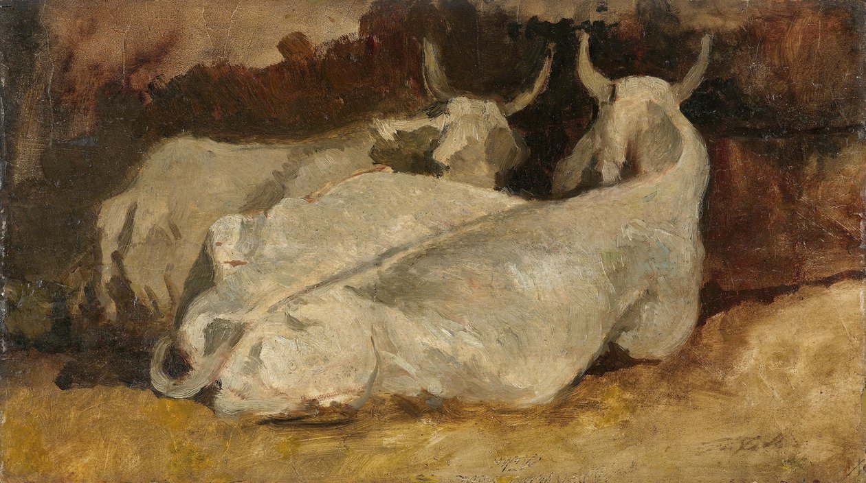 Mucche sdraiate da Giovanni Fattori