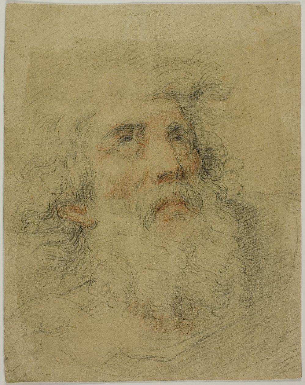 Capo di Re Lear da Giovanni Battista Cipriani