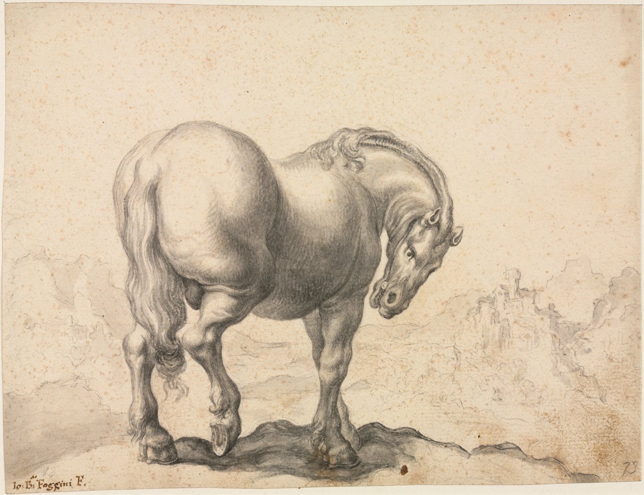 Studio di uno stallone da Giovanni Battista Foggini