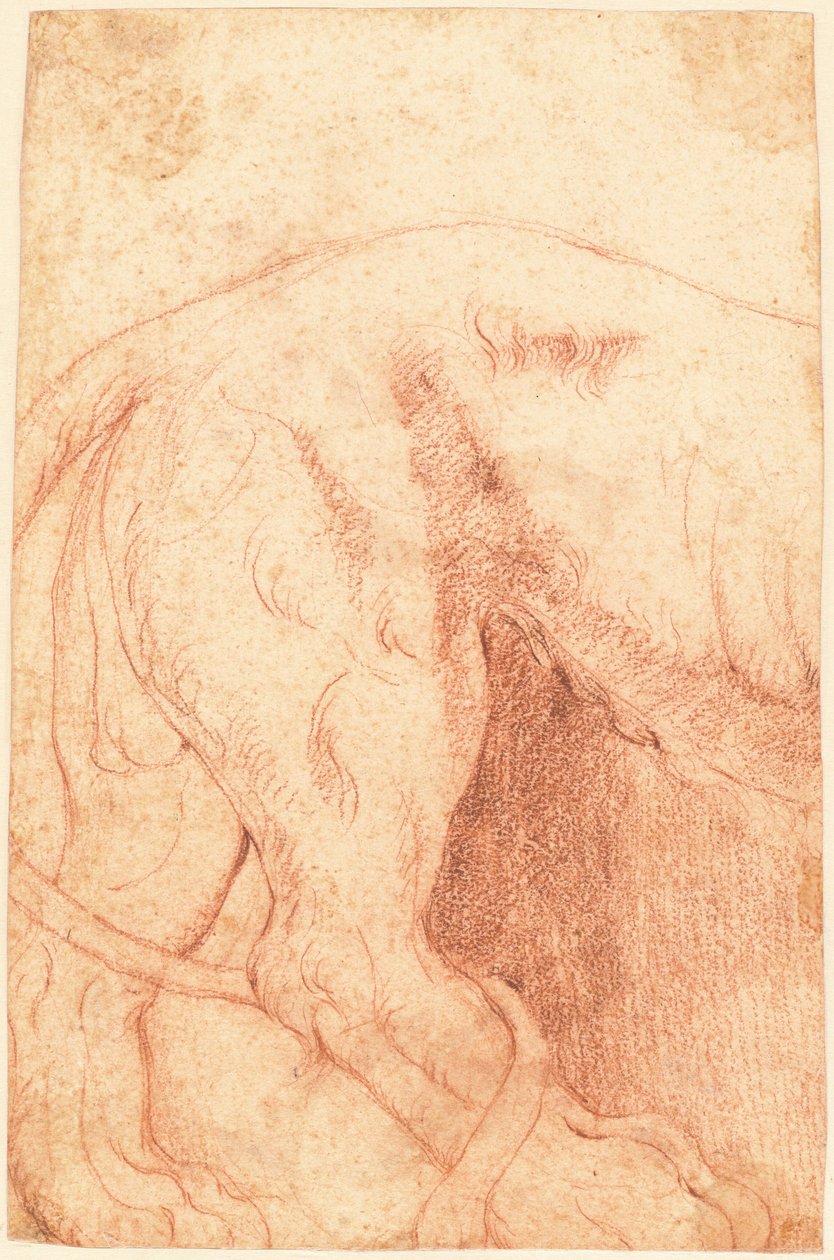 Frammento di un Bassorilievo di Leone (verso) da Giovanni Battista Piranesi