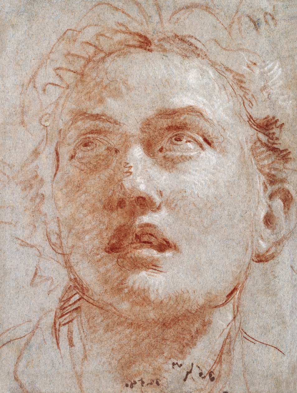 Testa di un uomo che guarda in alto da Giovanni Battista Tiepolo