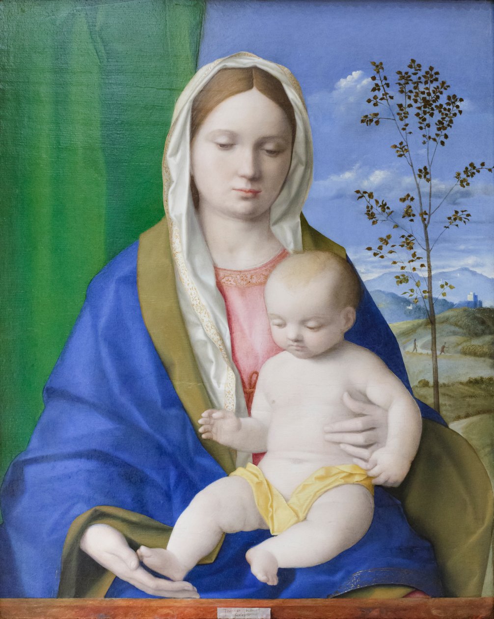 Madonna col Bambino, c.1500 da Giovanni Bellini