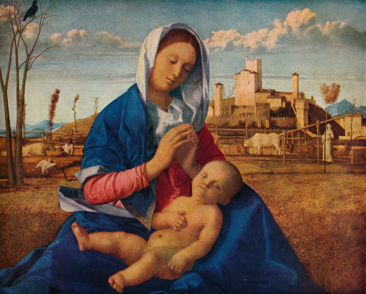 Madonna del prato da Giovanni Bellini
