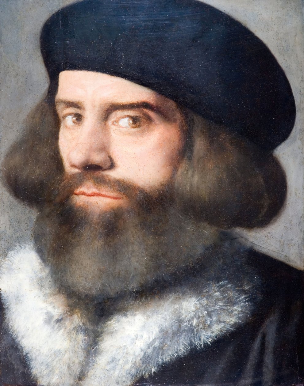 Testa di un Uomo Barbuto da Giovanni Buonconsiglio