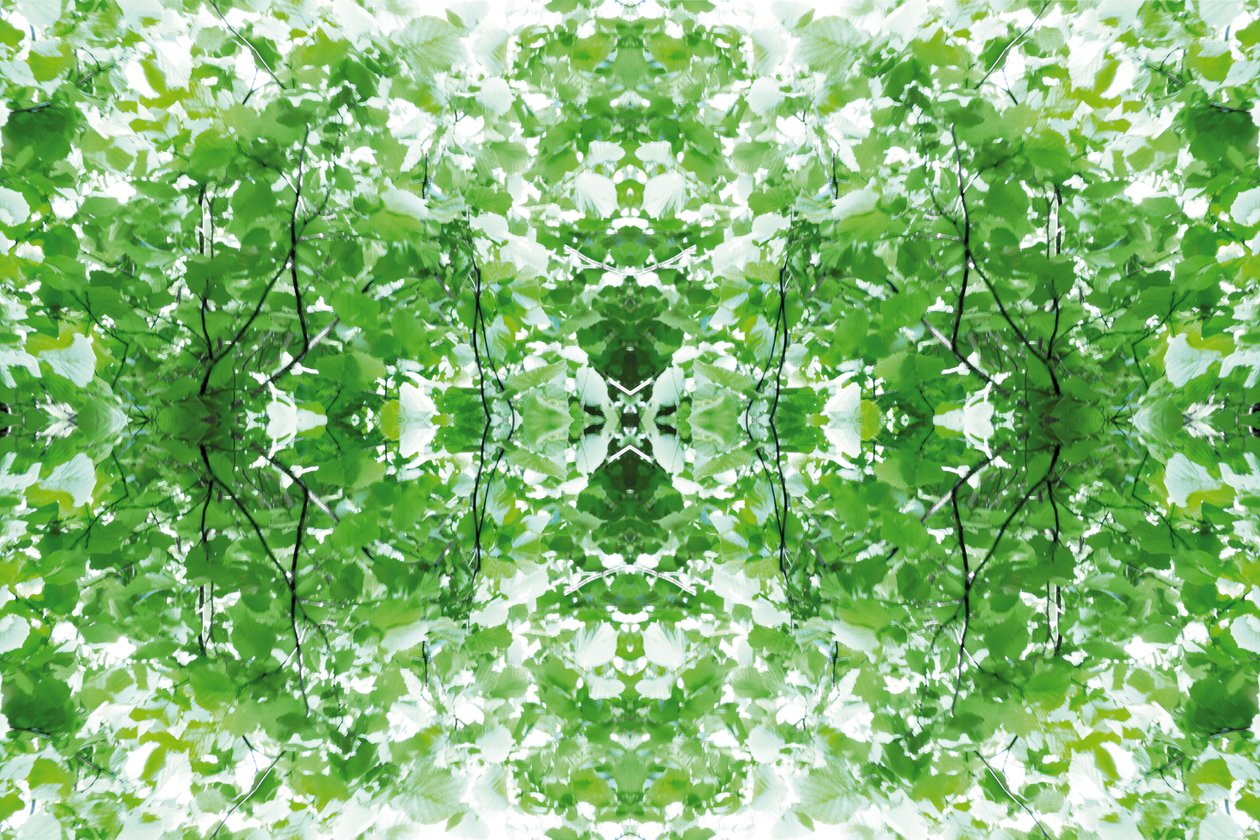 Innaturale 34 da Giovanni Cafagna