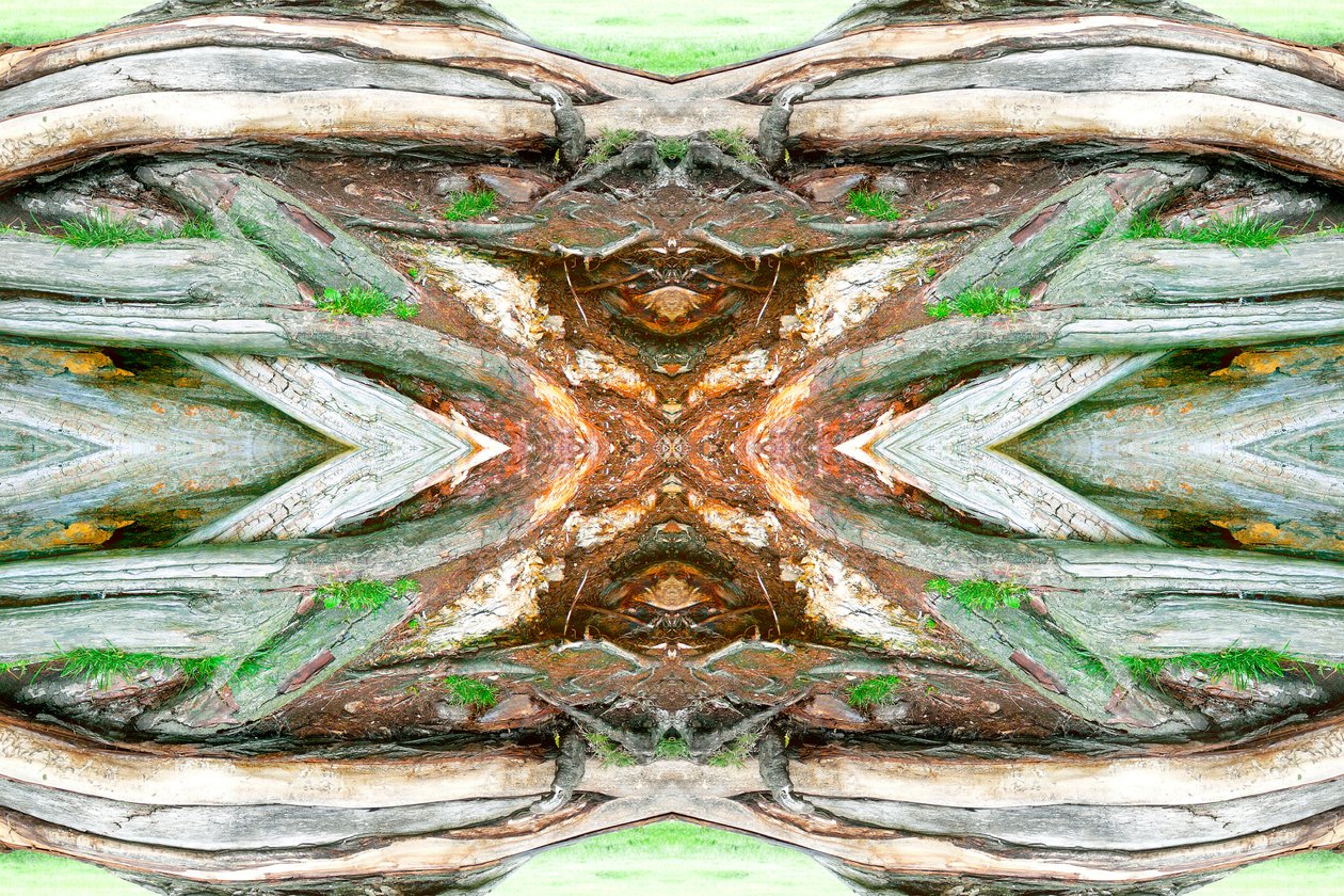 Innaturale 64 da Giovanni Cafagna
