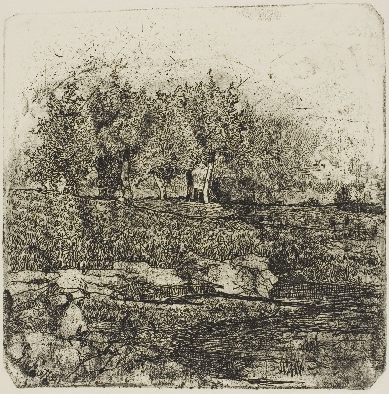 Alberi in un prato da Giovanni Fattori