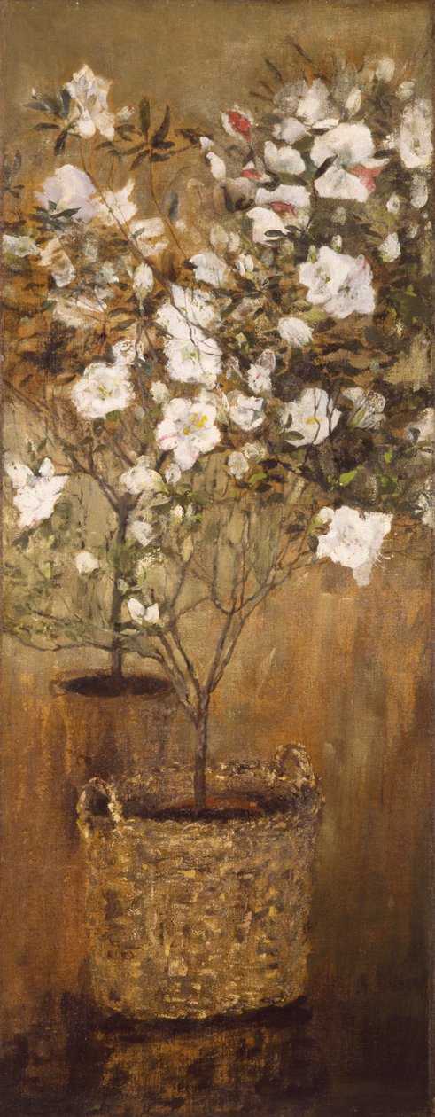 Vasi di azalee da Giovanni Segantini