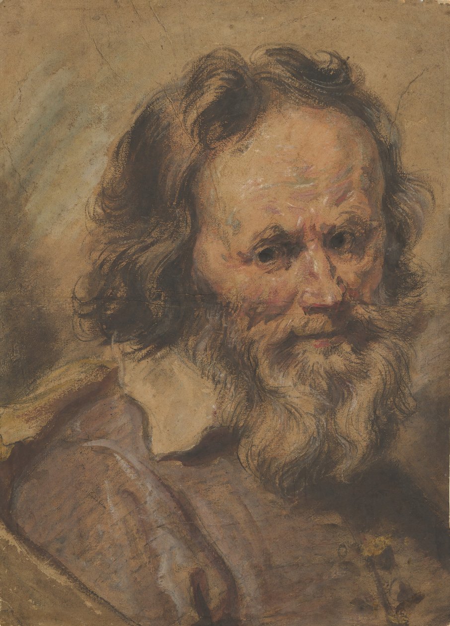 Testa di un uomo barbuto da Giovanni Serodine