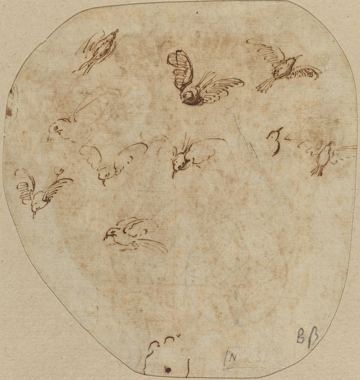 Uccelli in Volo [verso] da Girolamo Mazzola Bedoli