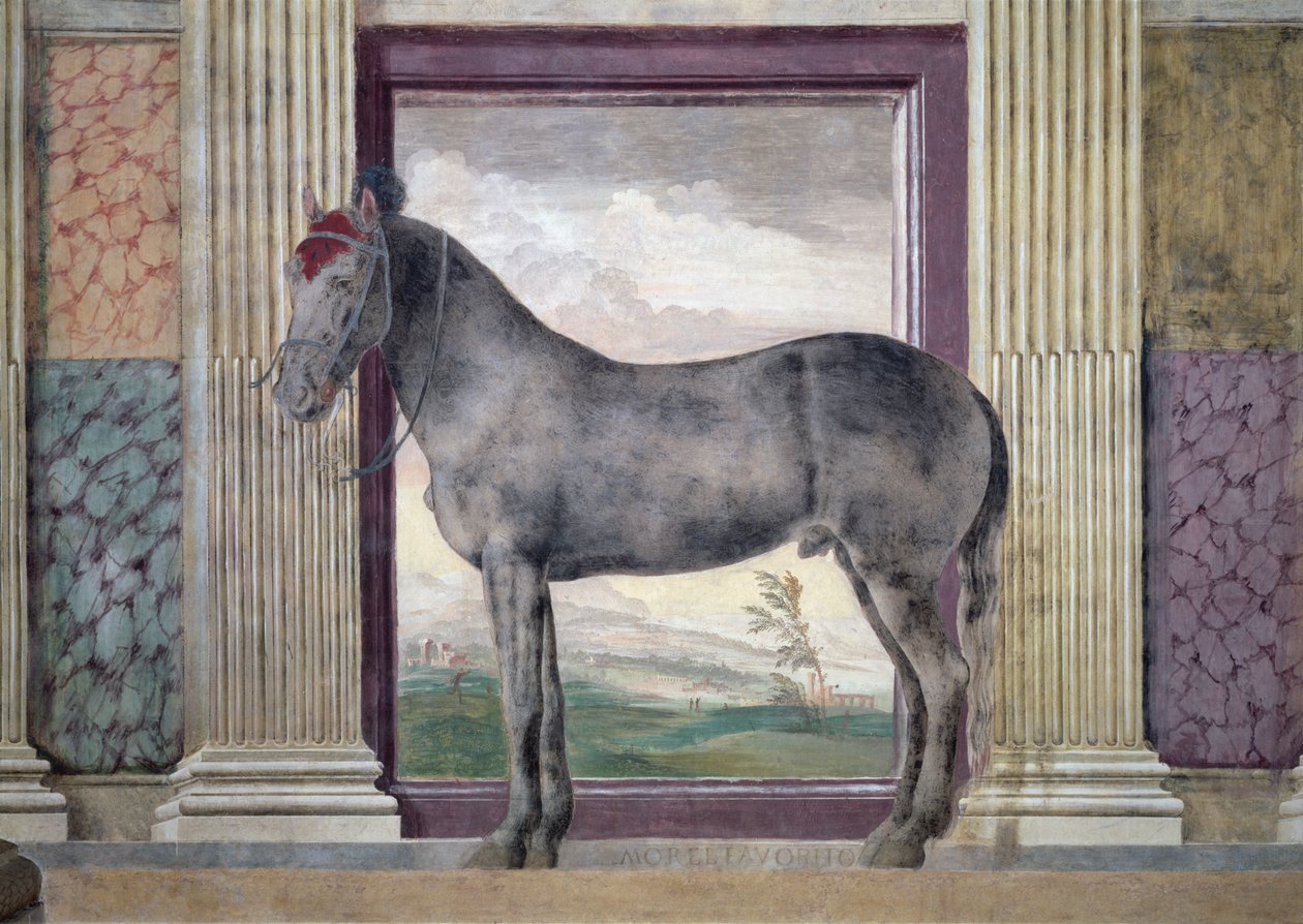 Sala dei Cavalli, (dettaglio) da Giulio Romano
