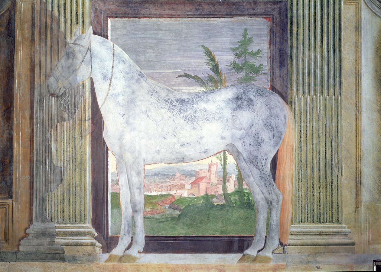 Sala dei Cavalli, (dettaglio) da Giulio Romano