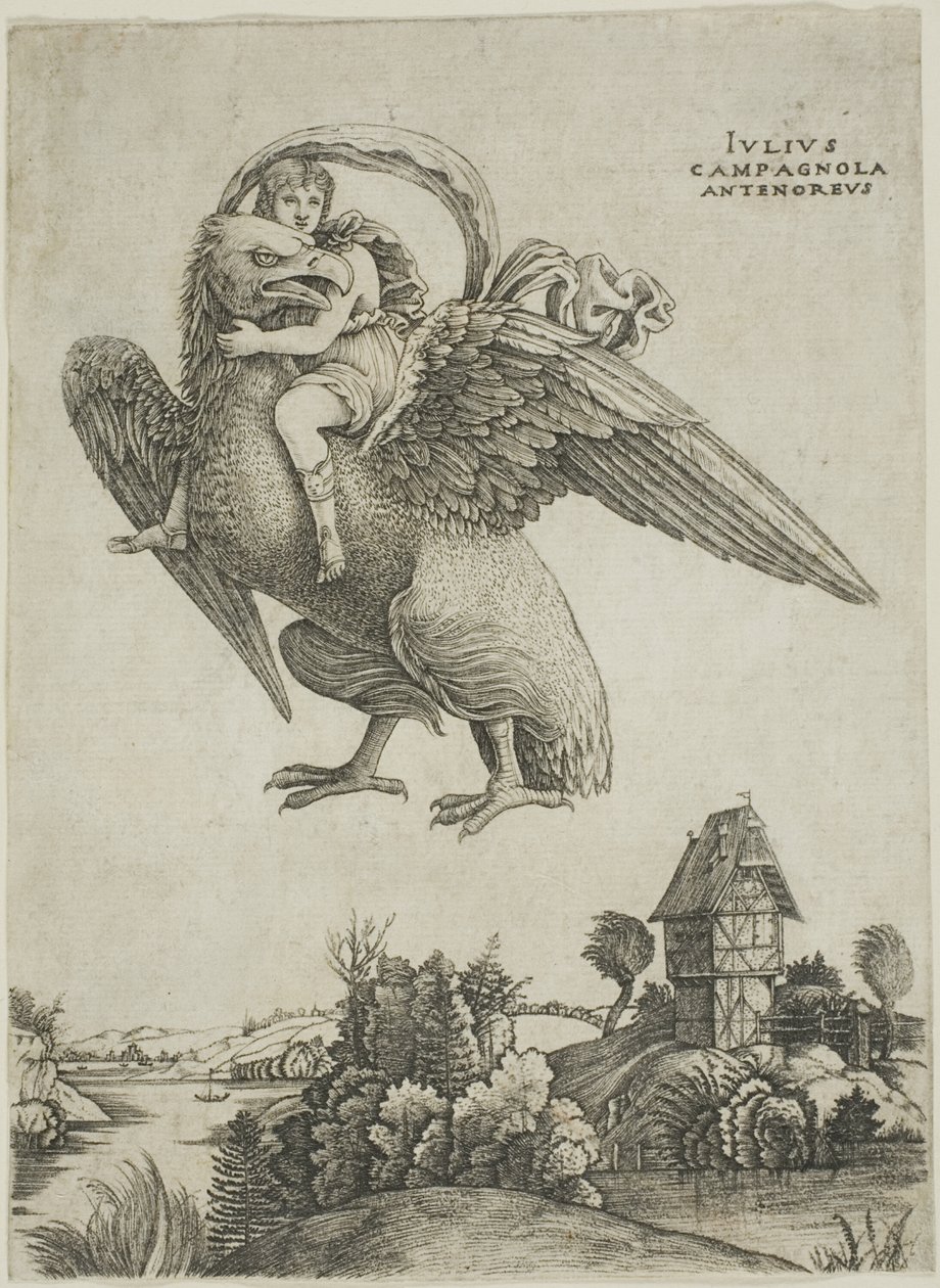 Ganimede da Giulio Campagnola