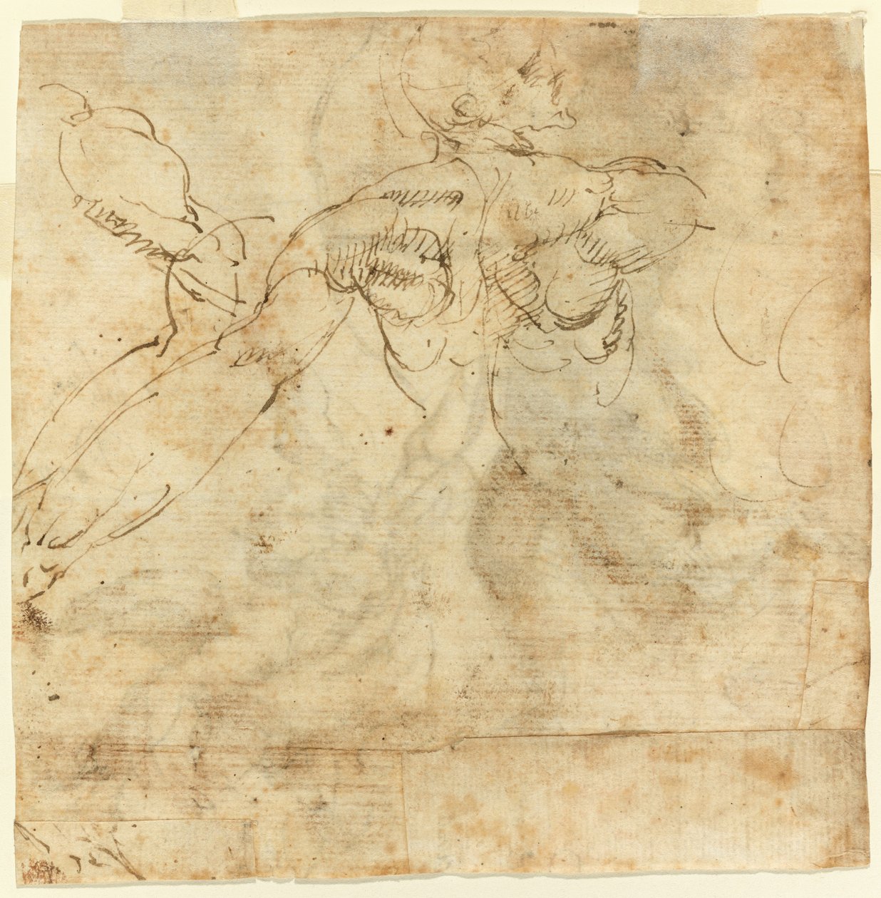 Studio di una schiena da Giulio Cesare Procaccini