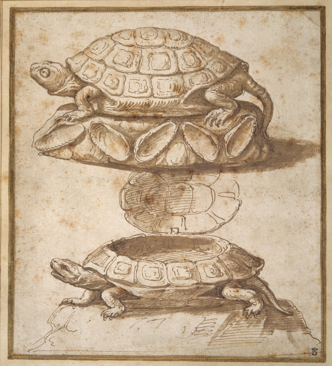 Scatola di dolci a forma di tartaruga da Giulio Romano