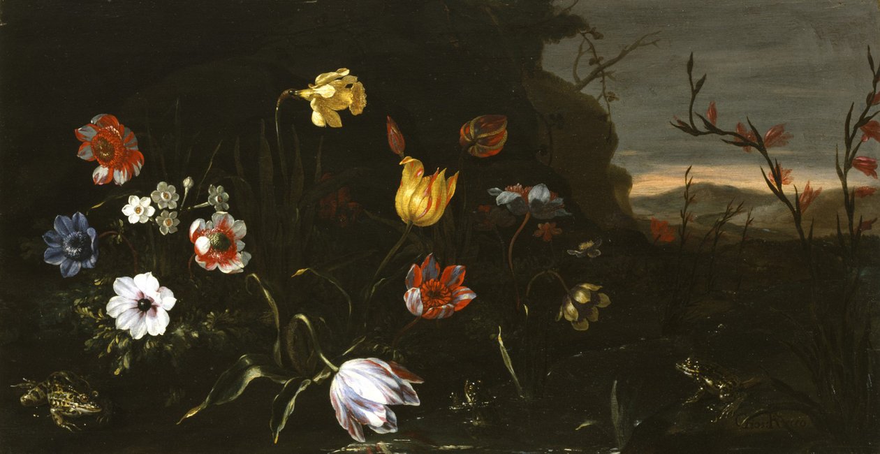 Fiori e Rane da Giuseppe Recco