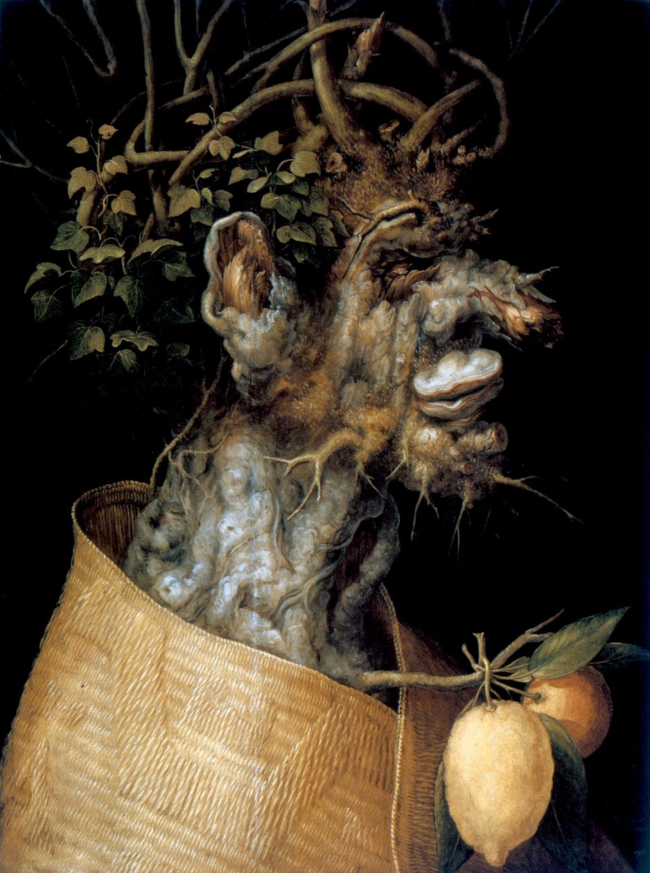 Inverno da Giuseppe Arcimboldi