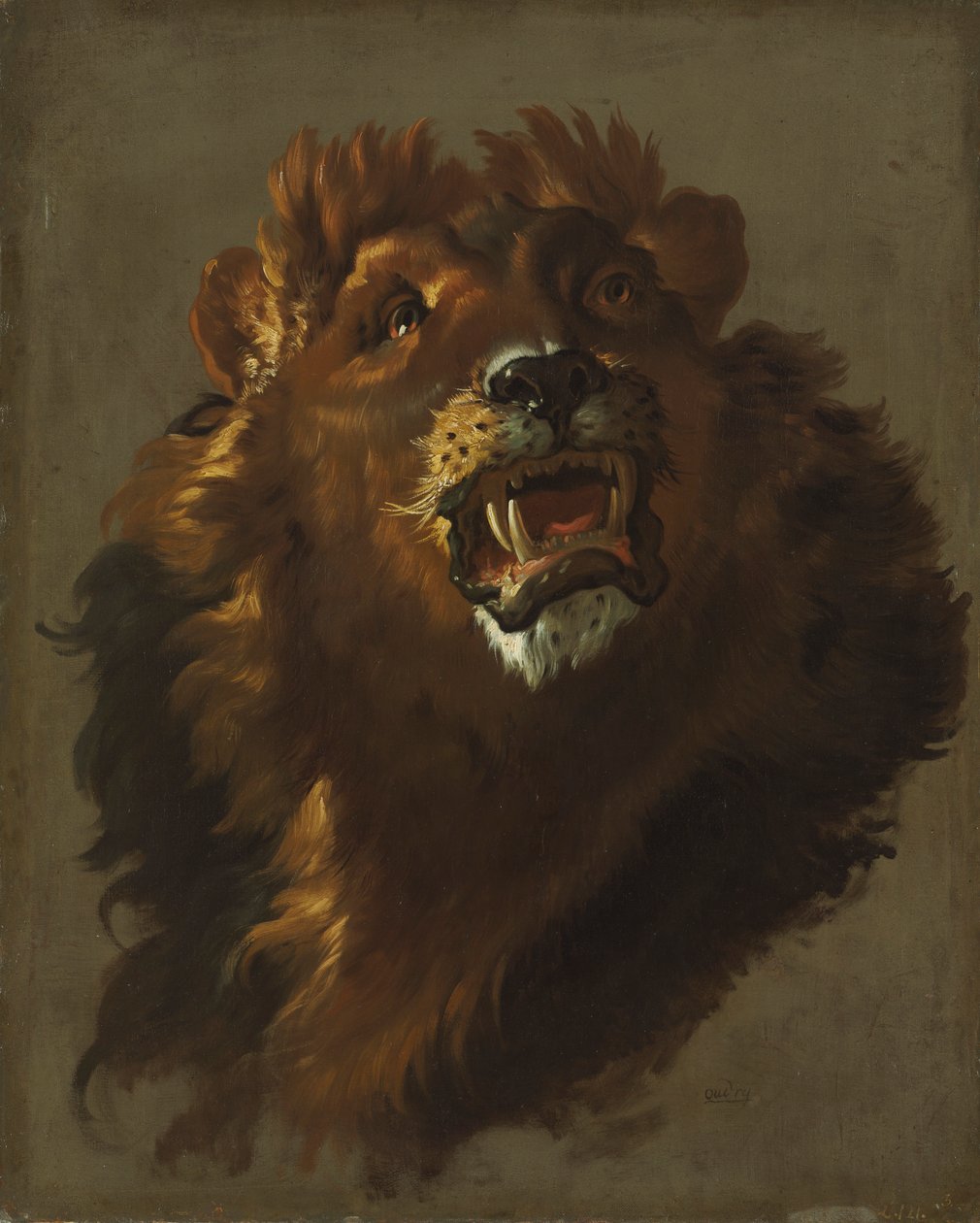 Leone, 1750 da Giuseppe Baldrighi