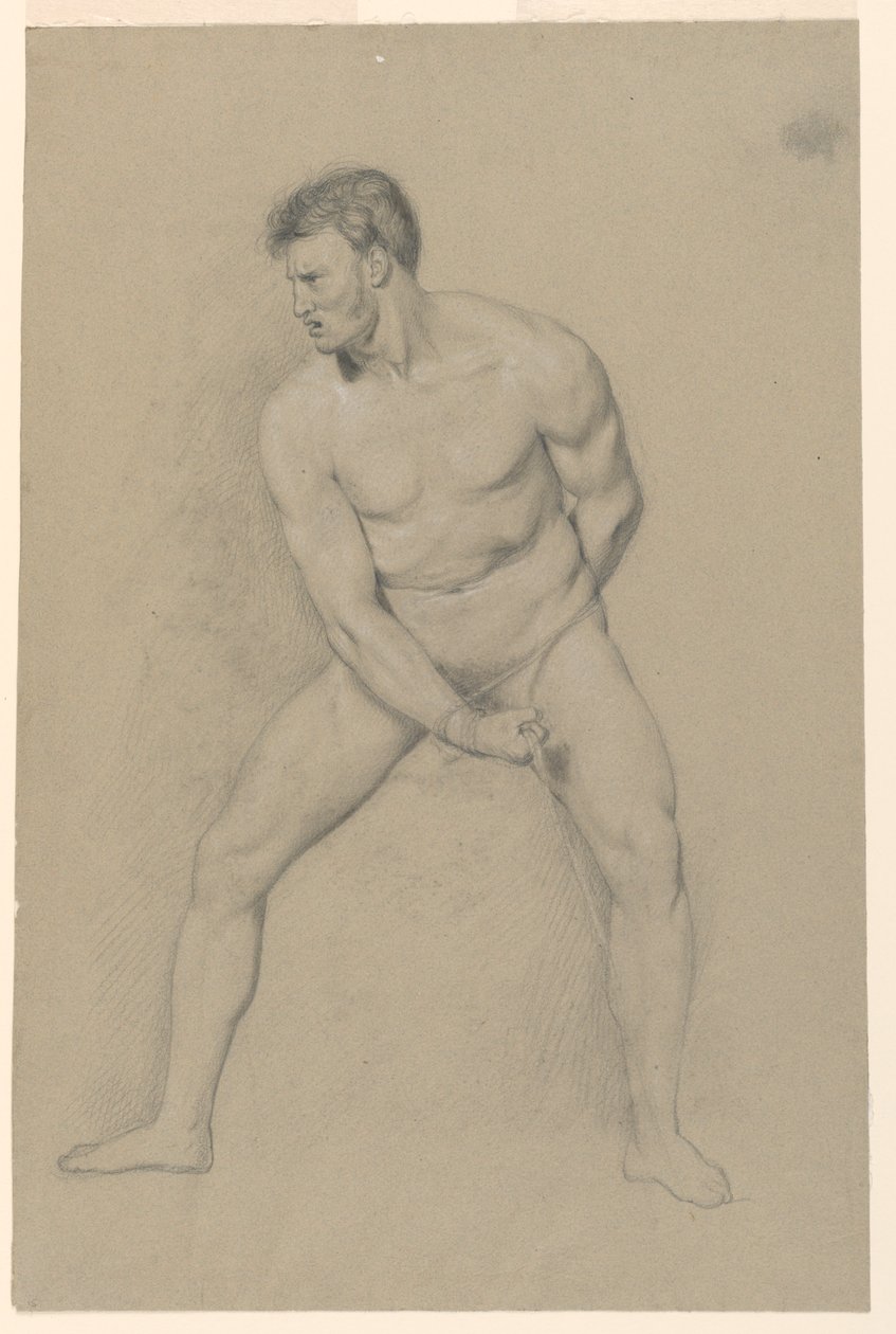 Studio accademico di un nudo maschile da Giuseppe Longhi