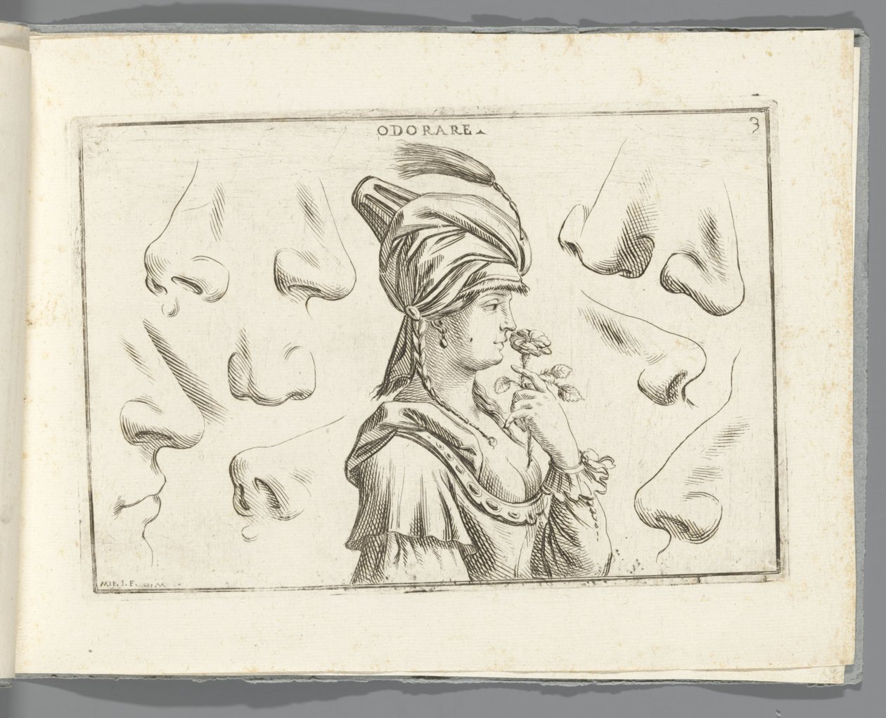 Odore da Giuseppe Maria Mitelli