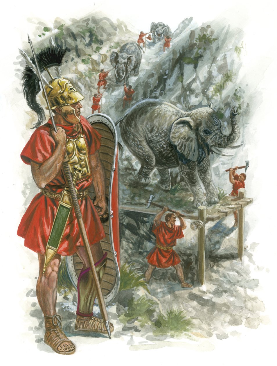Guerre Macedoni di Roma da Giuseppe Rava