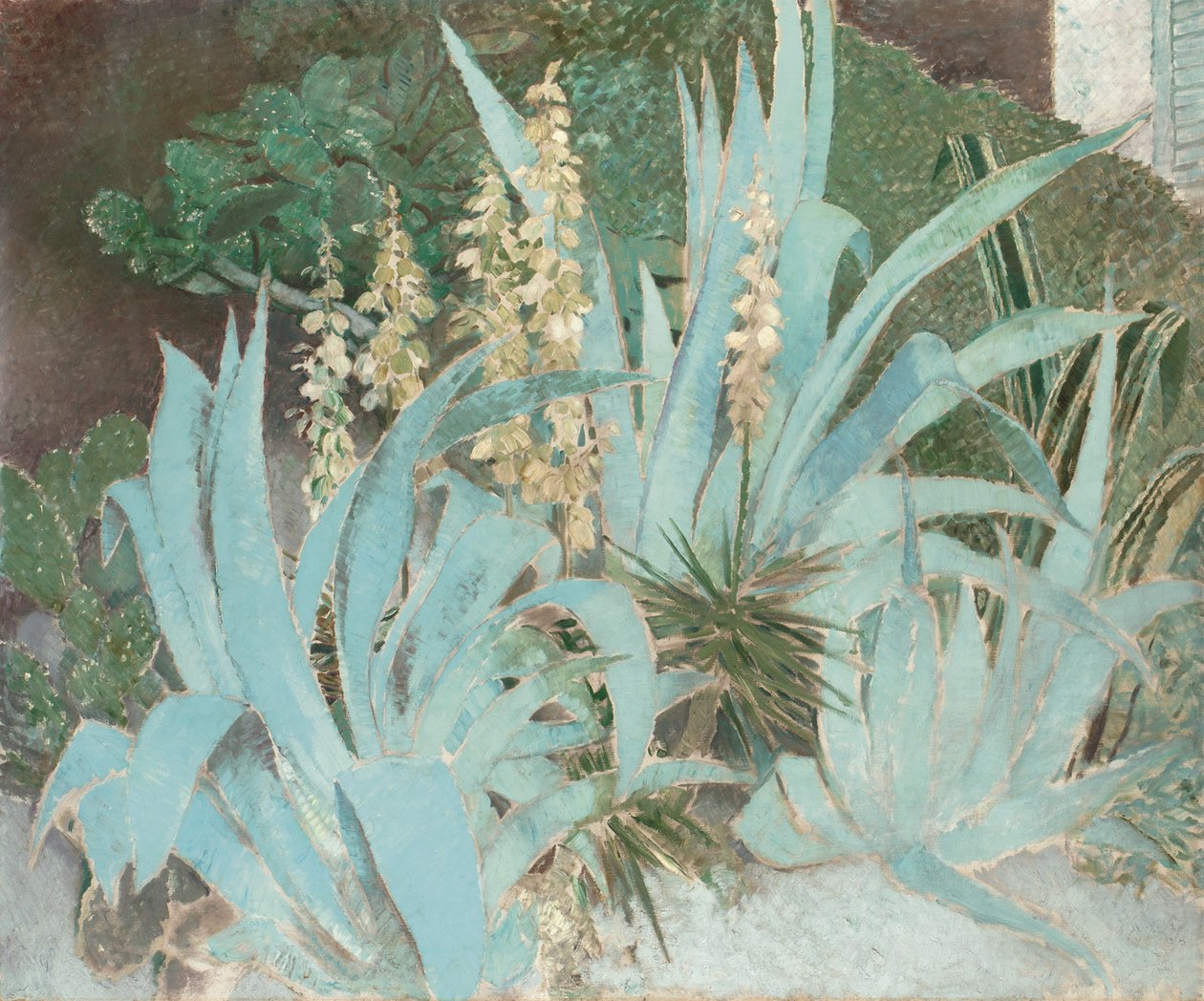 Cactus da Glyn Warren Philpot
