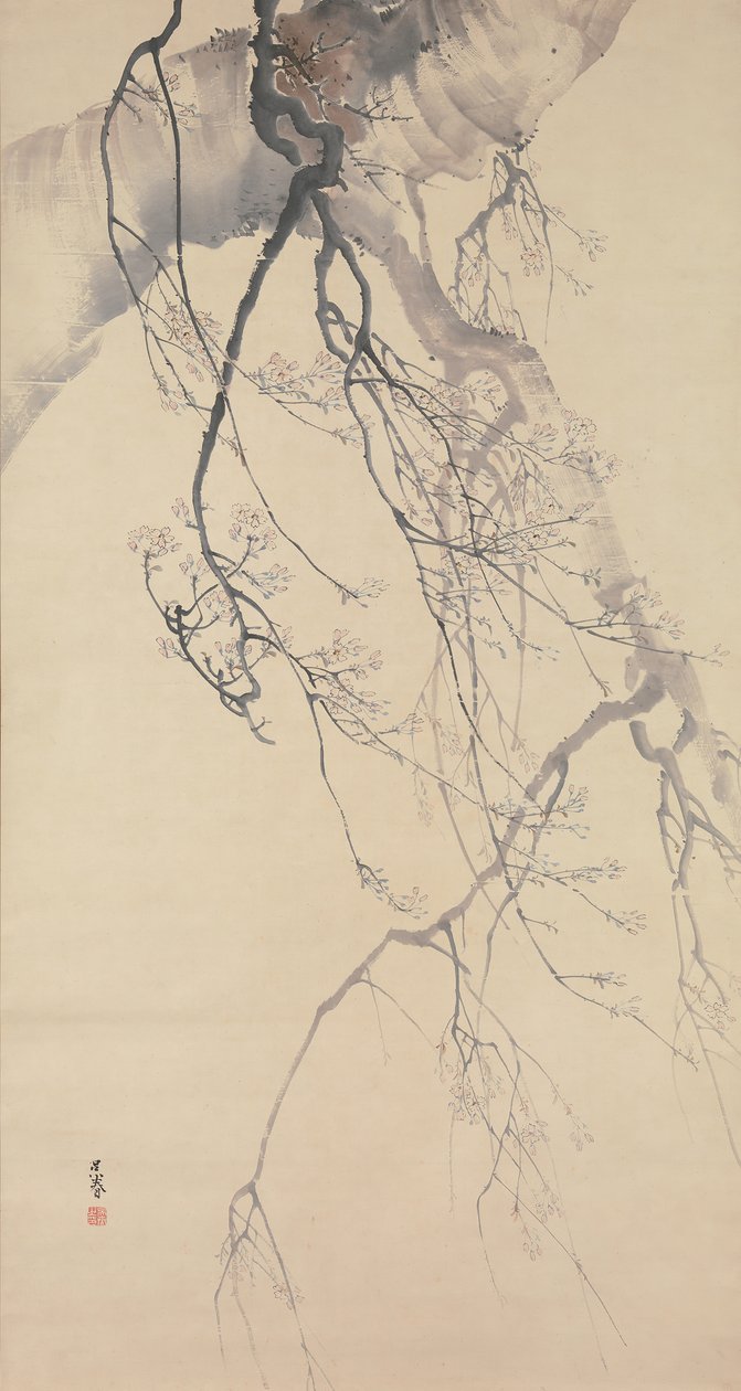 Fiori di ciliegio, XVIII secolo da Go Shun