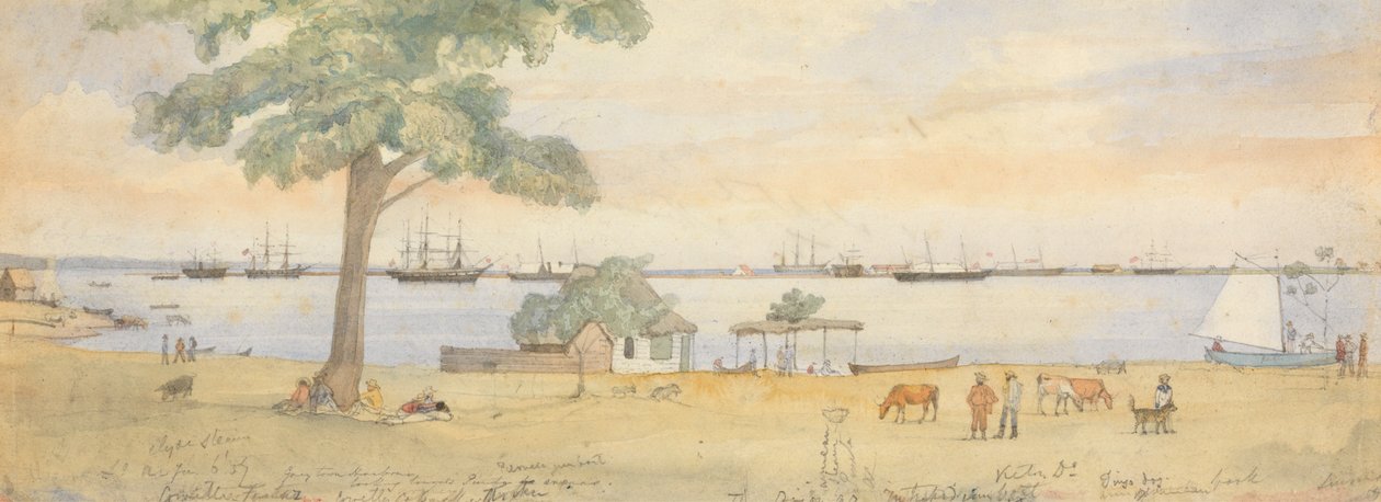 Greytown da Godfrey Thomas Vigne