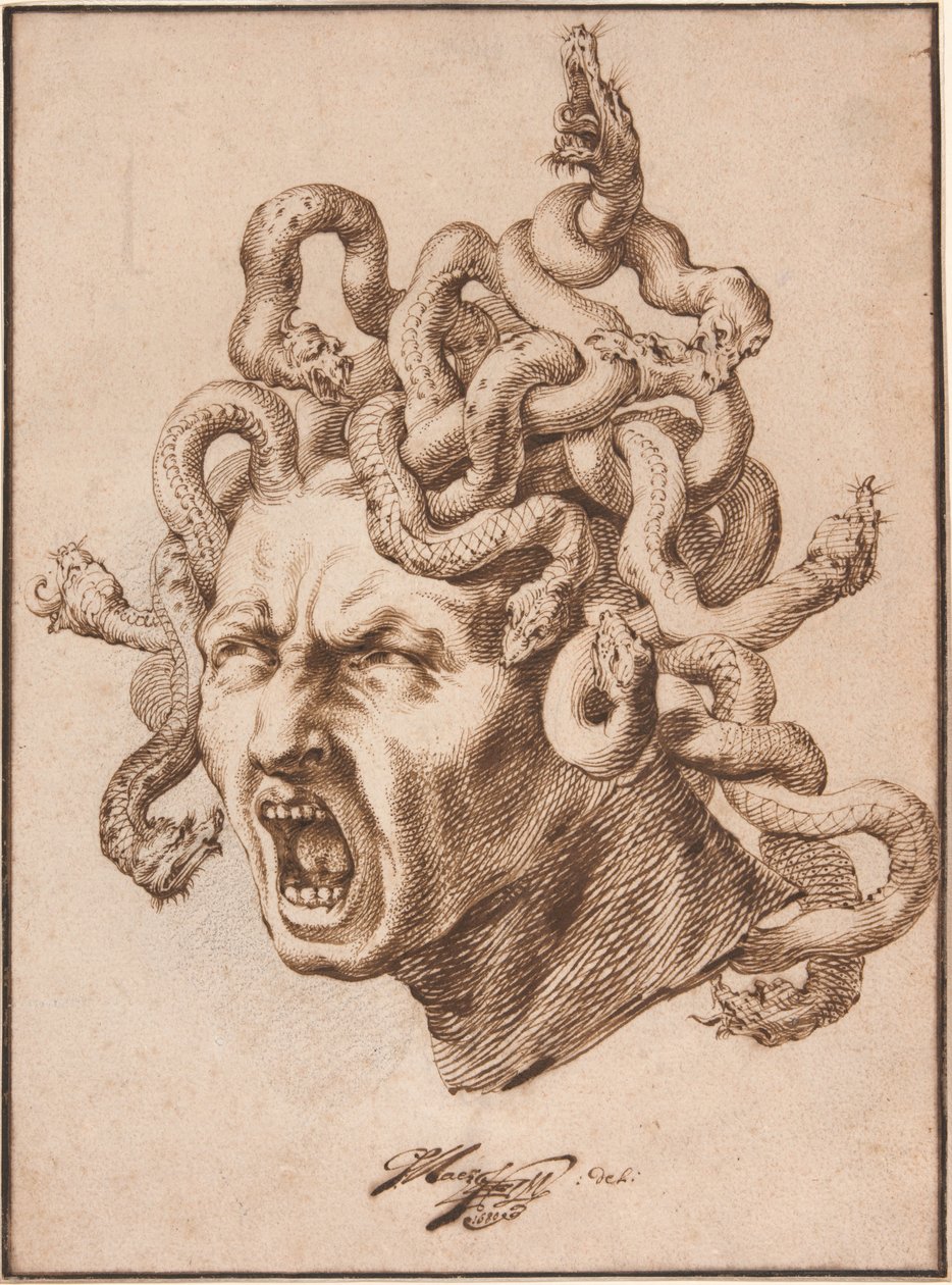 Testa di Medusa da Godfried Maes