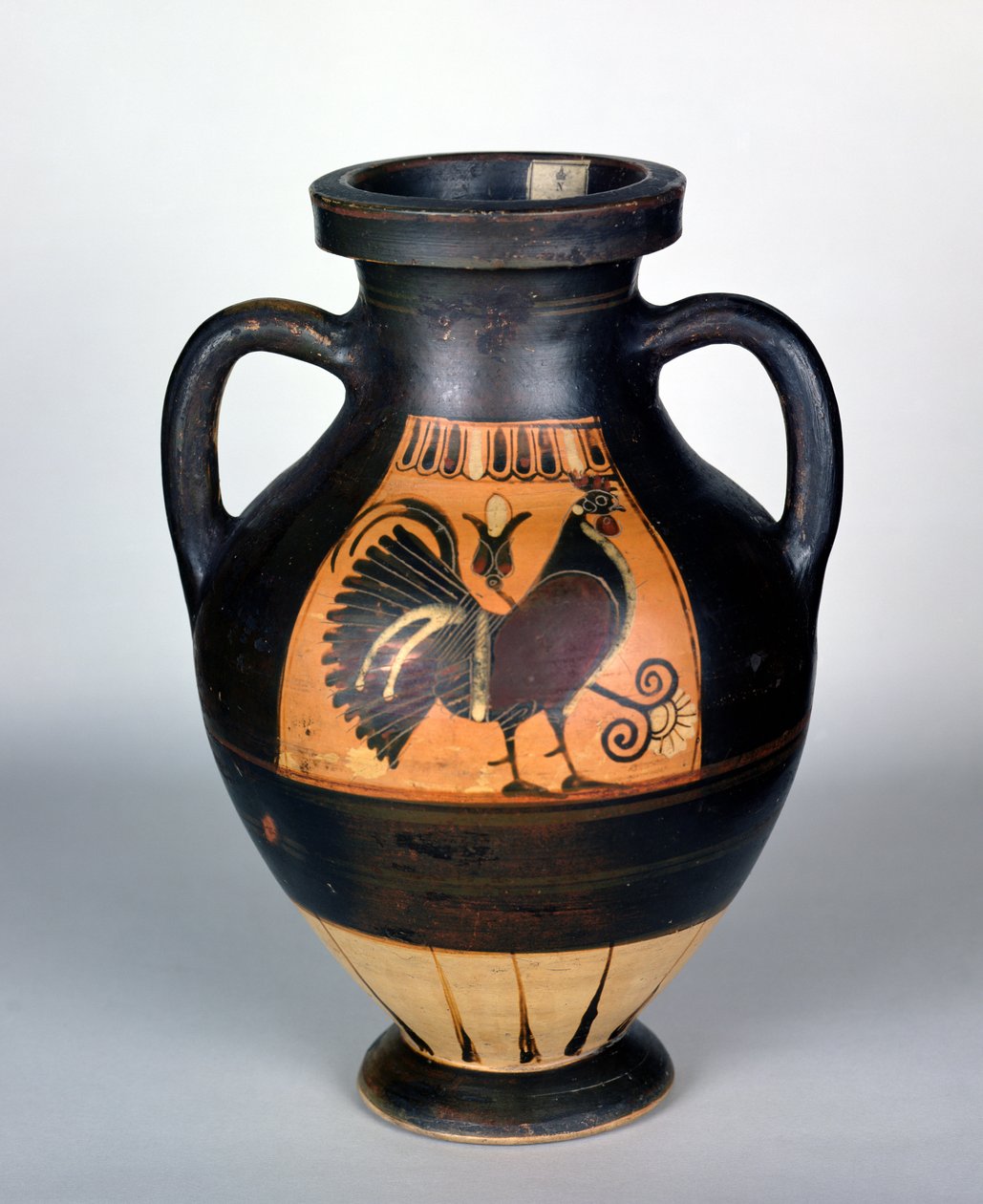 Anfora raffigurante un gallo, stile corinzio da Greek