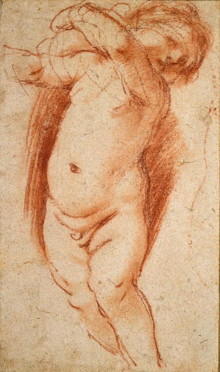 Un putto da Guercino