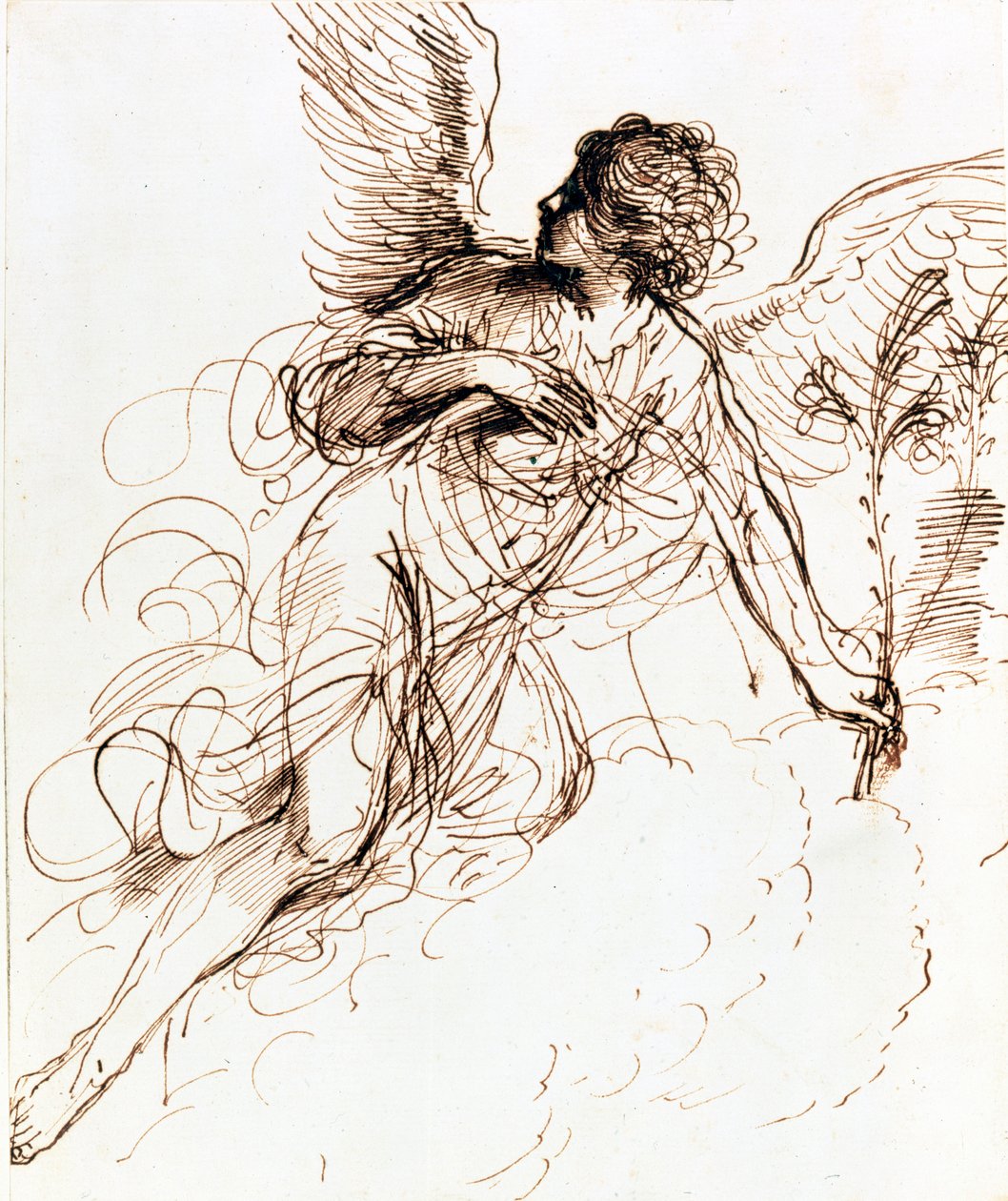 Studio di un angelo, c1611-1666 da Guercino