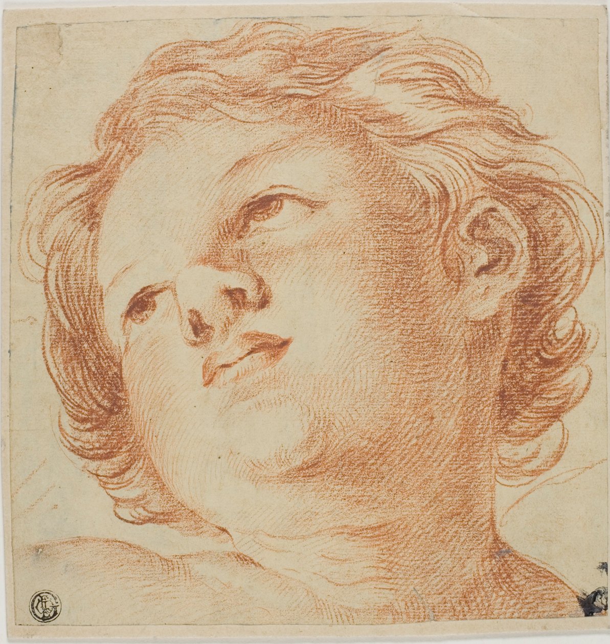 Testa di putto da Guido Reni