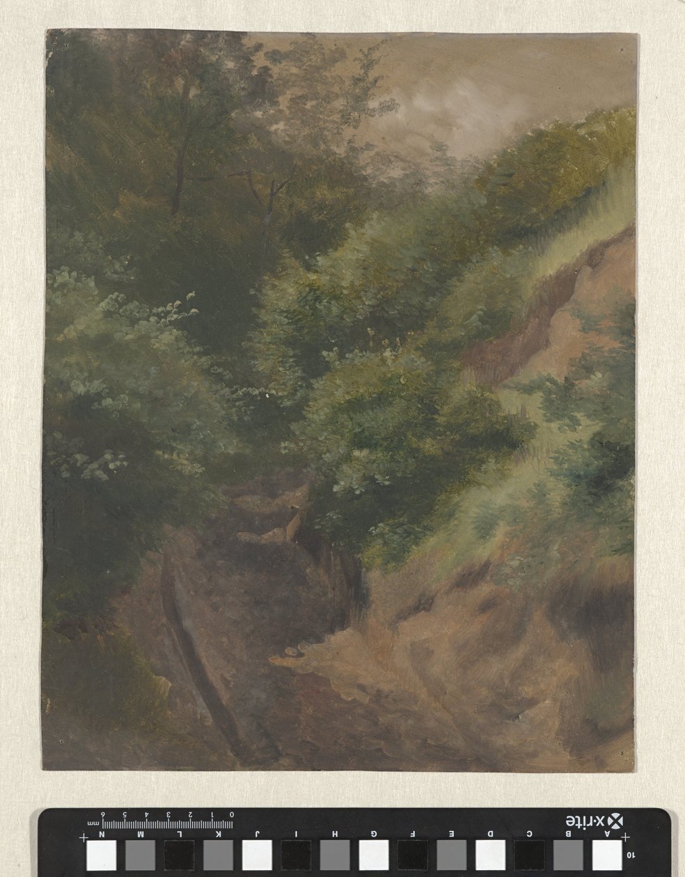 Strada delle dune da Guillaume Anne van der Brugghen