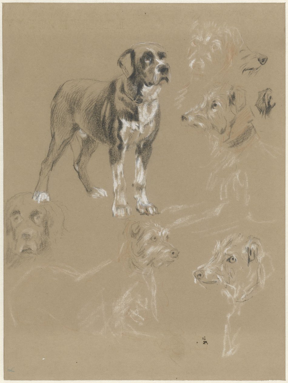 Studi di un cane da Guillaume Anne van der Brugghen