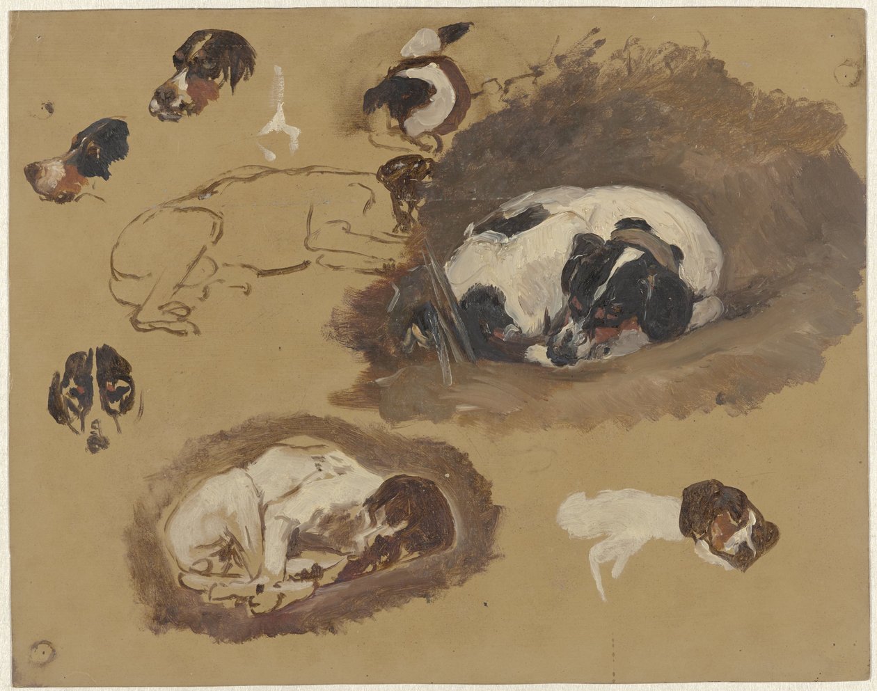 Studi di un Cane da Caccia da Guillaume Anne van der Brugghen