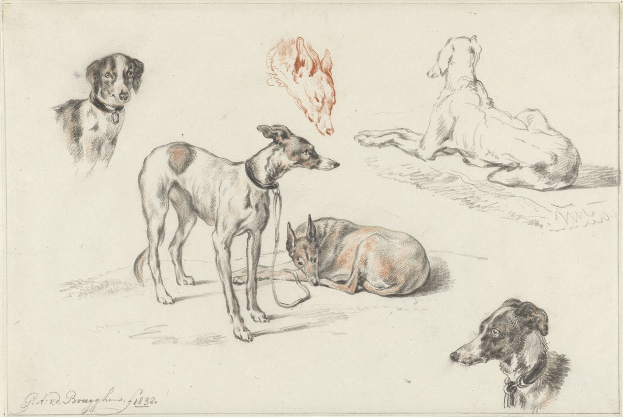 Studi di cani da Guillaume Anne van der Brugghen