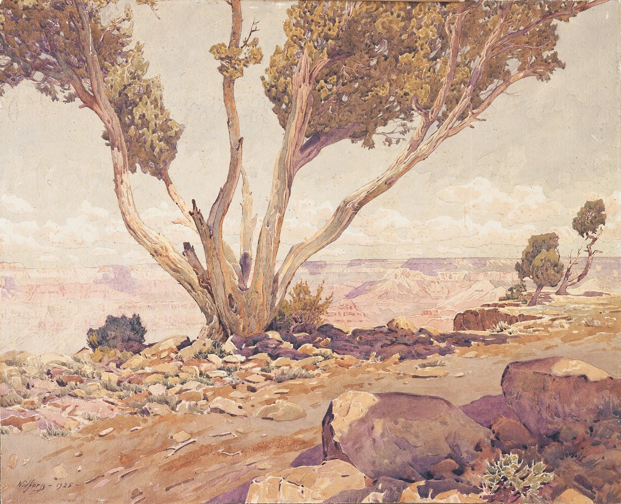 Grand Canyon da Gunnar Widforss