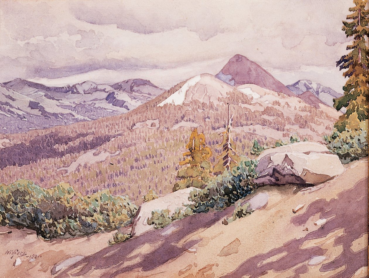 Alta Sierra da Gunnar Widforss