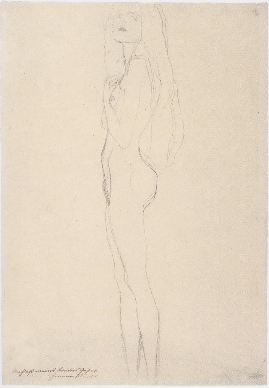 Nudo femminile in piedi verso sinistra da Gustav Klimt